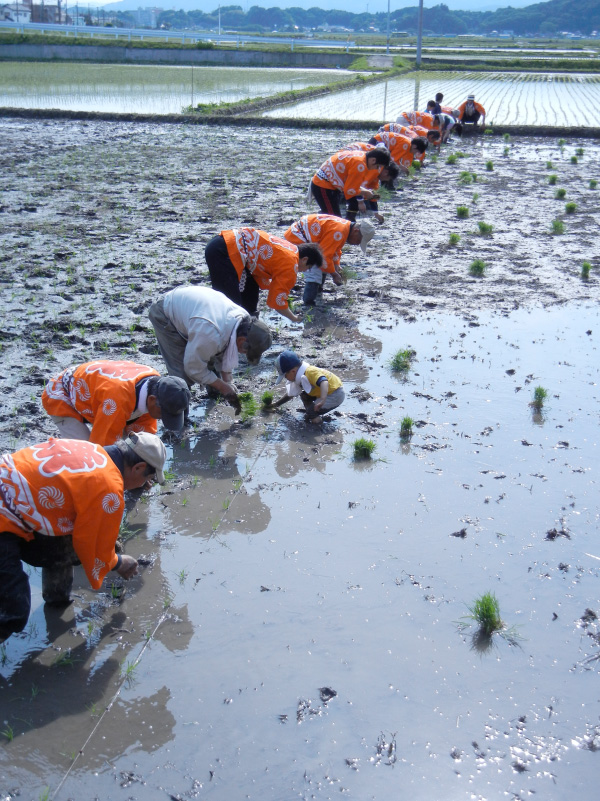 お田植え